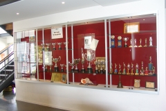 Trophy-wall-cabinet
